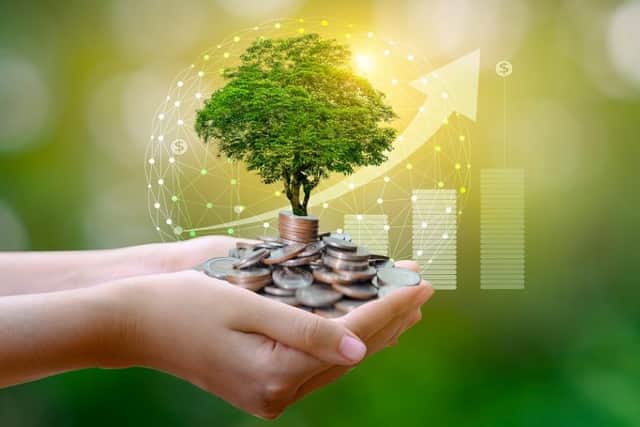 Greening your money (photo: Shutterstock)