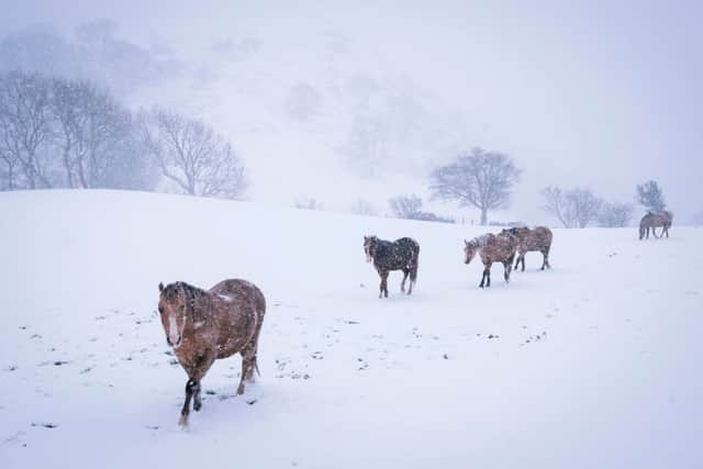 Heavy snow is anticipated on higher ground in Scotland, Northern Ireland and North West England (image: AFP/Getty Images)