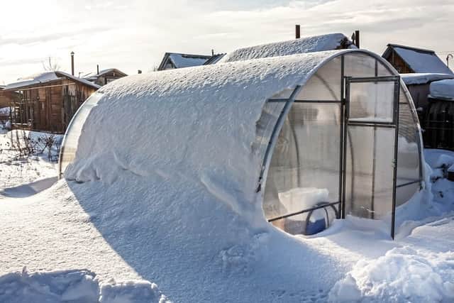 Wipe snow off your greenhouse, perhaps with a broom (photo: Shutterstock)