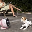 The Shark FlexBreeze offers cordless cooling, strong airflow and a misting feature for extra relief on hot days - and it's made the heatwave easier to cope with.