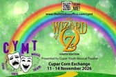 Local Cupar youth cast aged P7-S6 bring Wizard of Oz to Corn Exchange