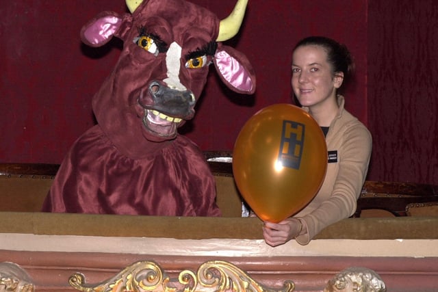 Box Office manager Amy Locker (right) with Buttercup the cow, alias Eric Hildrew, at Harrogate Theatre.