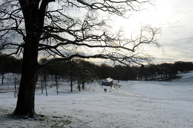 Roundhay Park was covered in snow.