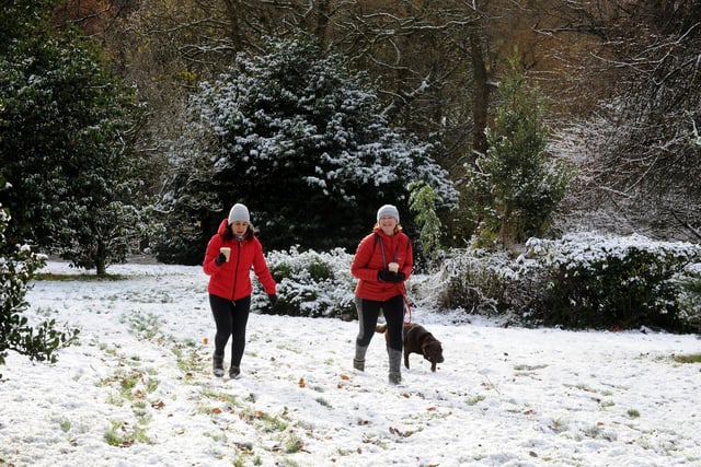 Dog walkers in Roundhay Park in the snow.