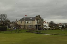 Leven Links has become popular with dog walkers.