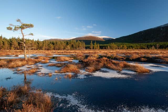 In the heart of the Cairngorms National Park sits the beautiful Inshriach. (Pic: ©FLS and courtesy of Colin Leslie)