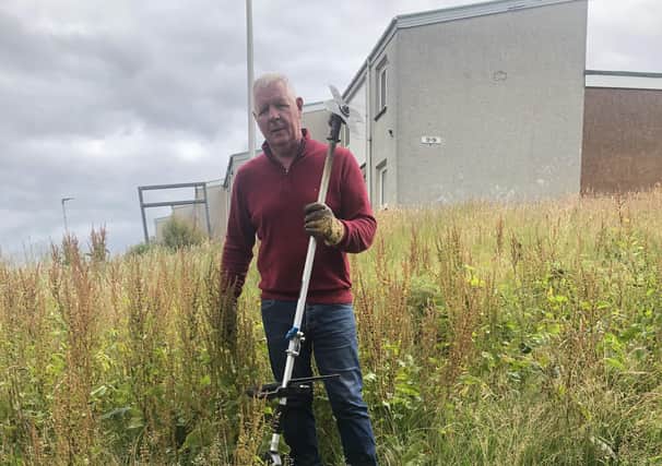 Alan Greig has cut back the weeds near Chapel Road and Broom Road