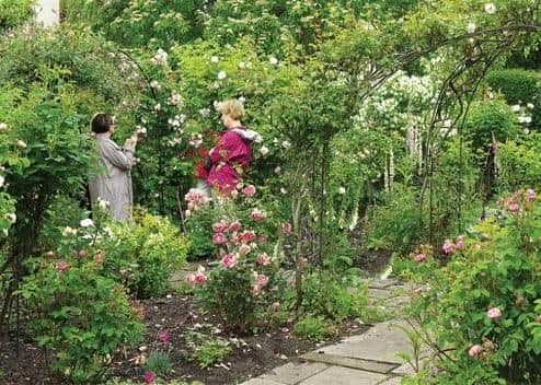 A renowned town garden, 46 South Street in St Andrews will be delighting visitors once again.
