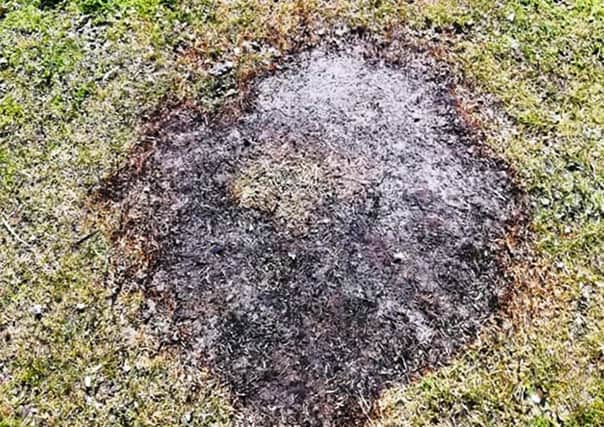 Fire damage to the grass