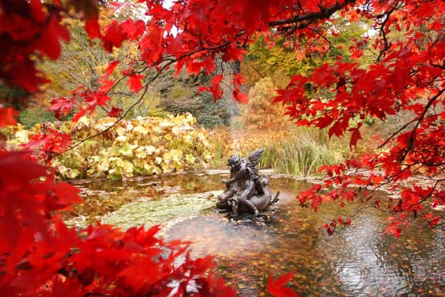 Soak in autumn...with a beautiful seasonal display at Benmore Botanic Garden in Argyll.