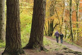 Take a walk on the wild side...this autumn to help maintain your well-being but please mind the Scottish Outdoor Access Code when you do. (Pic: Lorne Gill)