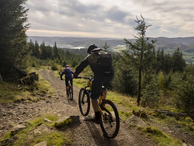 New focus...on cycling during the pandemic could be lucrative for our tourism market. Here, cyclists enjoy the paths in Glentress Forest. (Pic: David N Anderson)