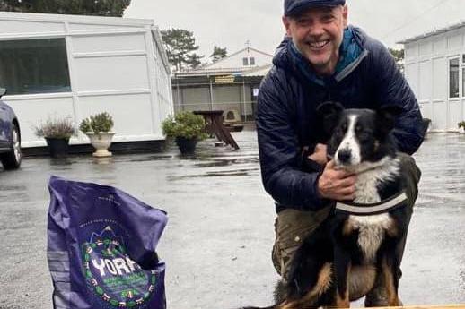 Nia is a lovely Collie girl who came to us after being in the pound. She spent two months with us before she joined her new home