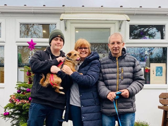 These two best friend Shih Tzu crosses came to us when their owner could no longer look after them - they have been together for four years so we would never split them up. Their new family was looking for a pair of dogs, so they are a great match.