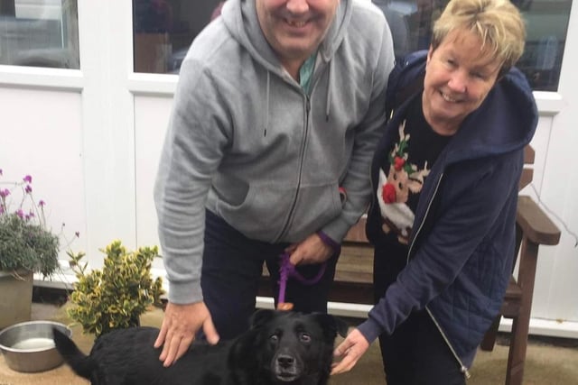 Blossom was handed in by her owners. She was only with us a week when her lovely forever home was found. She is a Labrador.