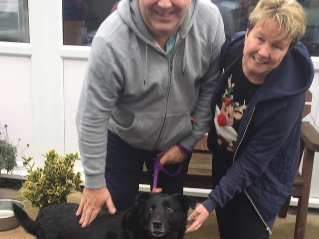 Blossom was handed in by her owners. She was only with us a week when her lovely forever home was found. She is a Labrador.
