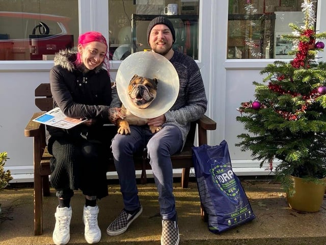 Bella the Bulldog arrived with us needing surgery on her eye, but that didn’t put her great new family off who just loved her for her cheeky personality.