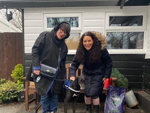 Hope joined us from Ireland after being retired from Greyhound Racing. This loving girl was offered her experienced forever home soon after arriving with us.