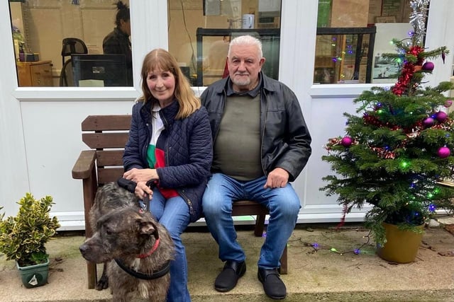 Archie arrived with us from another rescue that needed some space. Archie is a crossbreed, loving dog who found his forever home shortly after arriving with us.