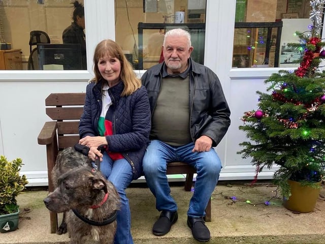 Archie arrived with us from another rescue that needed some space. Archie is a crossbreed, loving dog who found his forever home shortly after arriving with us.
