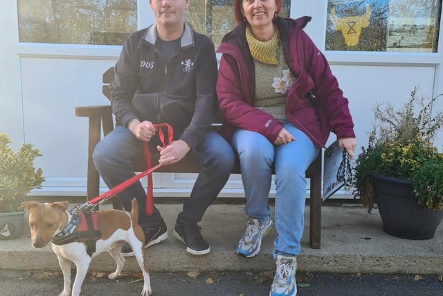 Del joined us from a pound. He has a great little character and his new family loved that about him. Del is a Jack Russell Terrier.