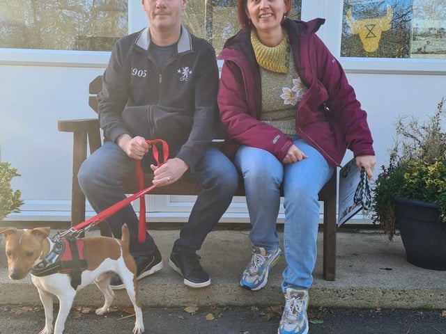 Del joined us from a pound. He has a great little character and his new family loved that about him. Del is a Jack Russell Terrier.