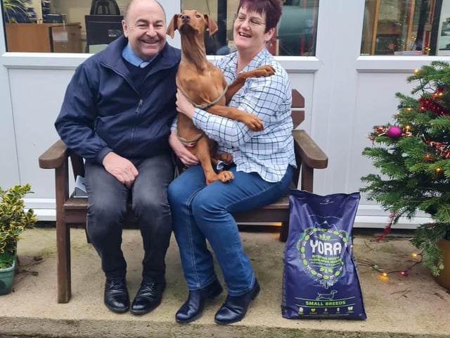 Toffee, who is one of Hector's siblings, was a little shy but her new family are helping her grow and build her confidence. She is a Doberman.