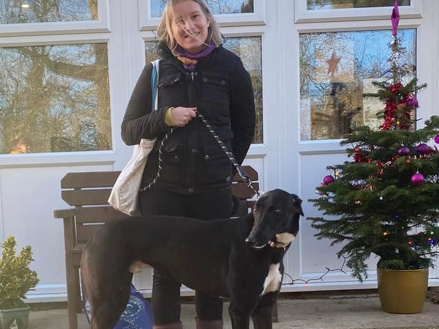Prince was found straying. He came to us a little shy and nervous but his new family didn’t mind that and are working on building his confidence. He is a Lurcher.