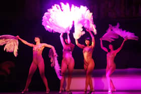 An Evening Of Burlesque comes to the Alhambra Theatre this week (Pic: Martin Reynolds)