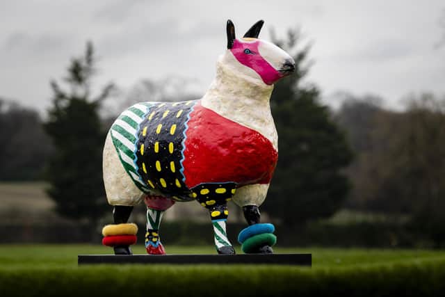 Jennifer McHardy's Davy Baa-wie was inspired by the iconic knitted jumpsuit designed by Kansai Yamamoto for David Bowie worn in 1974 during his Ziggy Stardust era.  (Pic: Ian Georgeson)