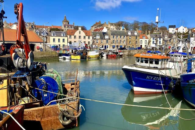 Pittenweem Harbour in the glorious spring sunshine (Pic: Pat Christie)