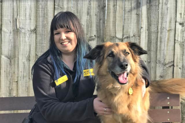 Megan Wilkinson, the Dogs Trust’s first Home from Home co-ordinator