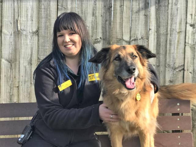 Megan Wilkinson, the Dogs Trust’s first Home from Home co-ordinator