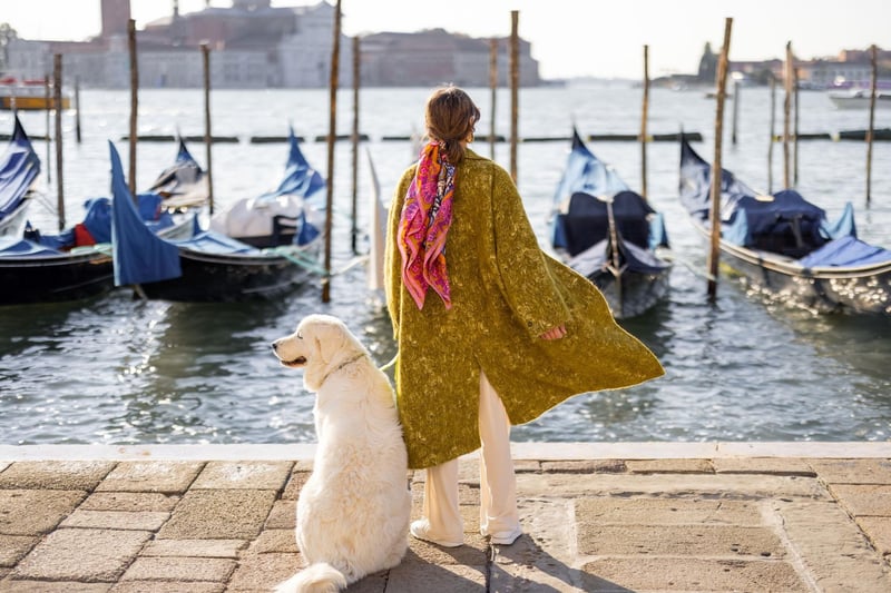 Italy is the best place in the world for dogs - rating particularly highly for the large number of dog-friendly hotels.