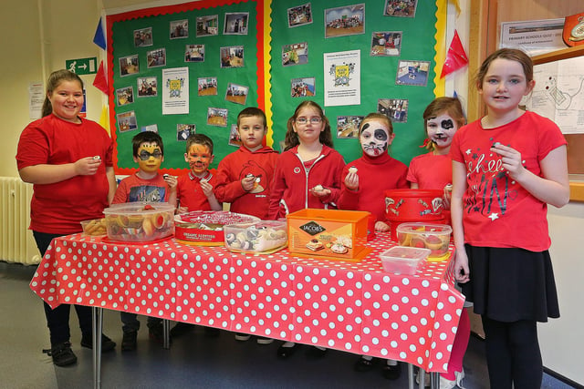 A host of fun activities were held in Springfield Primary School for Red Nose Day in 2017.