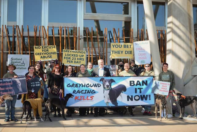 Mark Ruskell with campaigners at the Scottish Parliament