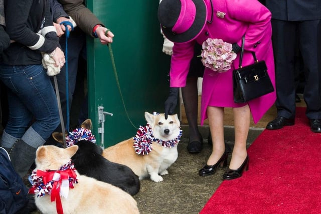 As many may suspect, the Queen treats her Corgis like royalty. They have their own designated room, their beds are changed daily, and their food is even prepared by a chef.