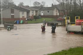 Dogs being carried through the flooding in Cupar (Pic: James Matheson)