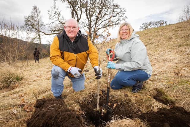 National Lottery winners Jim and Pam Forbes volunteering at Trees for Life