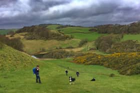 The Craigencalt Spring Walking Festival runs until April 10.  (Pic: submitted)