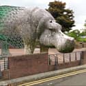 The 50th anniversary hippo planned for Glenrothes