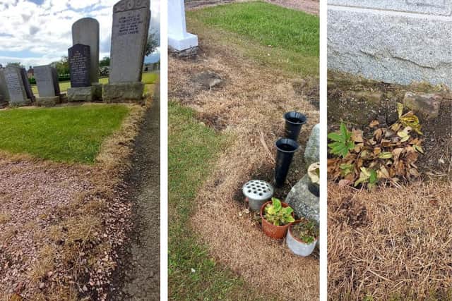 The scorched grass near gravestones at Hayfield Cemetery in Kirkcaldy