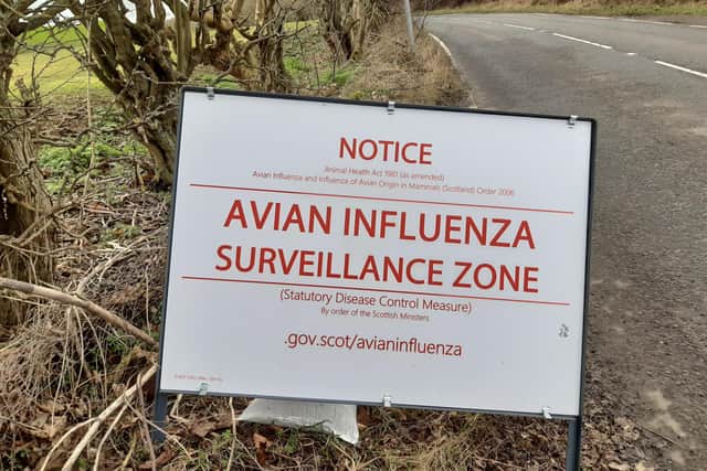 The surveillance signs have been put on the Kinghorn-Burntisland road.