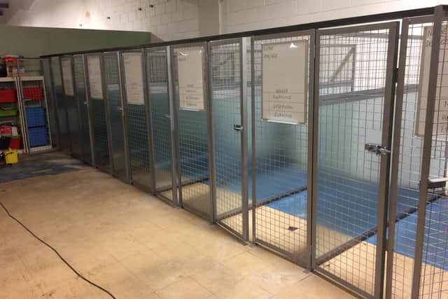 The kennels which were donated in 2020.