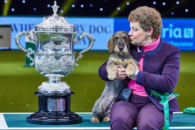 Wire-haired Dachshund Maisie won the Best in Show award at the last Crufts dog show in 2020.