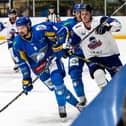 Fife Flyers and Dundee Stars (pictured) will face each other in pre-season friendly matches in September (Pic Derek Young)
