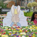 Dobbies - Peter Rabbit (PIc: Stewart Attwood)