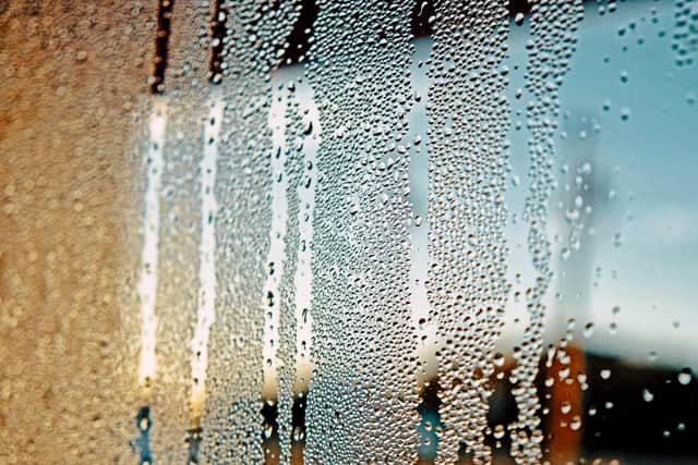 Here's why you might be seeing more condensation on the inside of your windows, and how to stop it from getting worse (Image credit: Getty Images/Canva Pro)