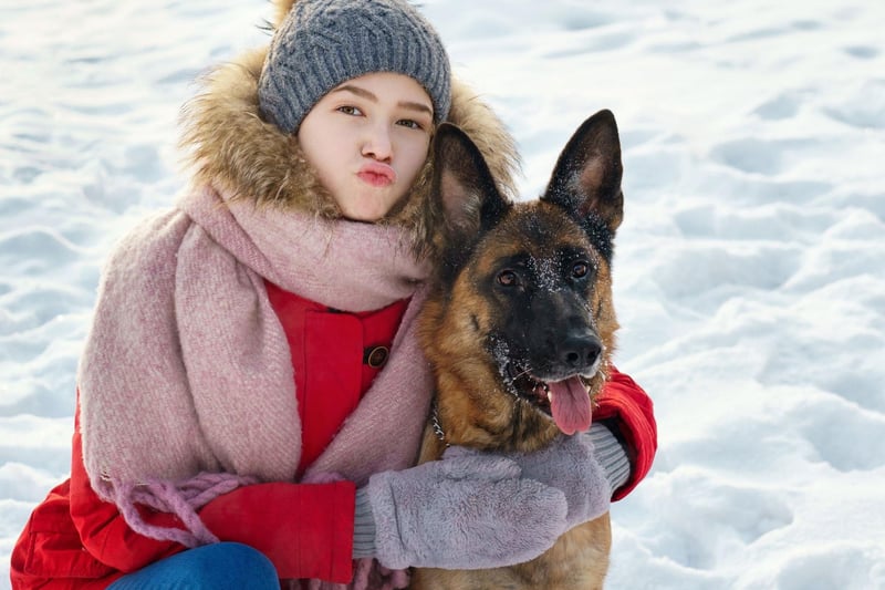 For those lucky enough to live in a property with a garden and plenty of space, the German Shepherd is perfect for a teenager that wants to have a loyal friend who would do anything to protect them from harm.