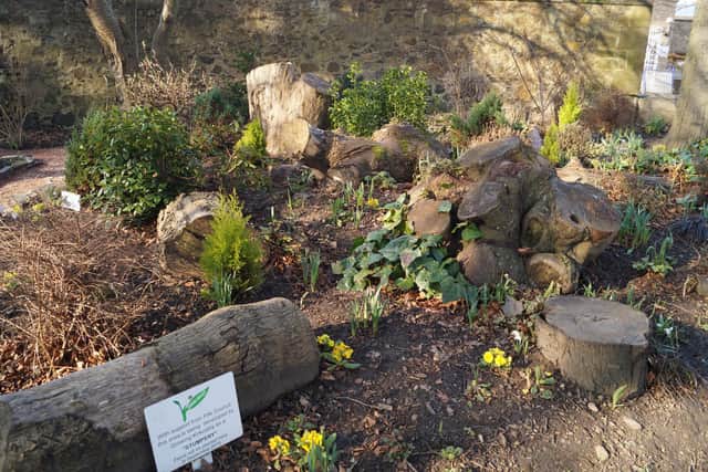 Volunteers have been working on the stumpery over the winter months. This is how it looked in September 2020.
